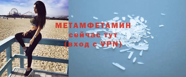 шишки Белокуриха