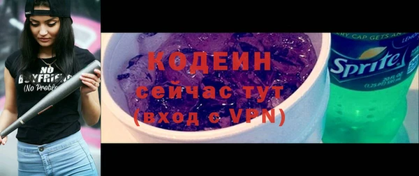 шишки Бородино