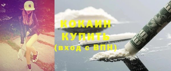 шишки Белокуриха