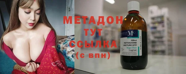 шишки Белокуриха