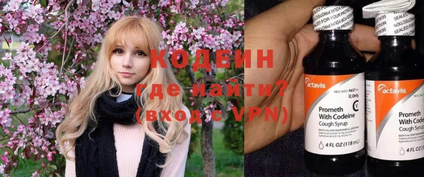шишки Белокуриха