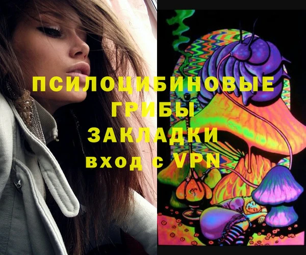 шишки Бородино