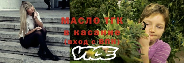 шишки Бородино