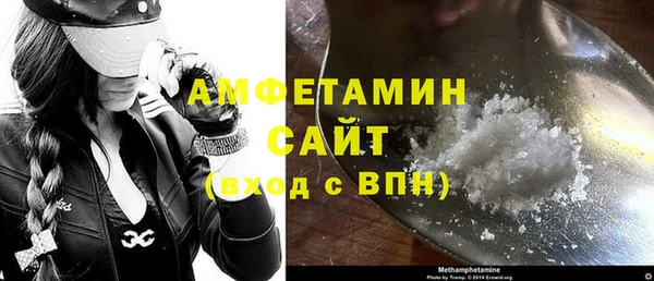 шишки Белокуриха