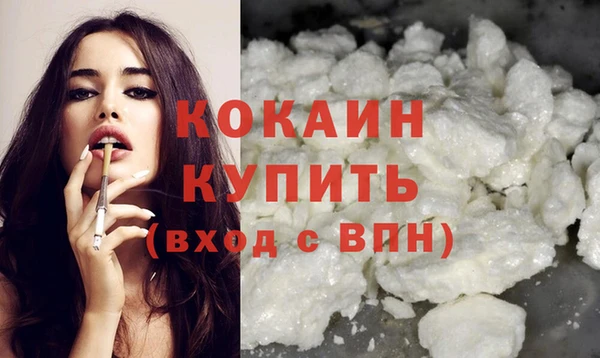 шишки Белокуриха