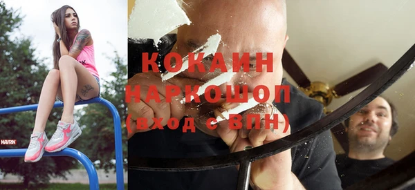 шишки Белокуриха