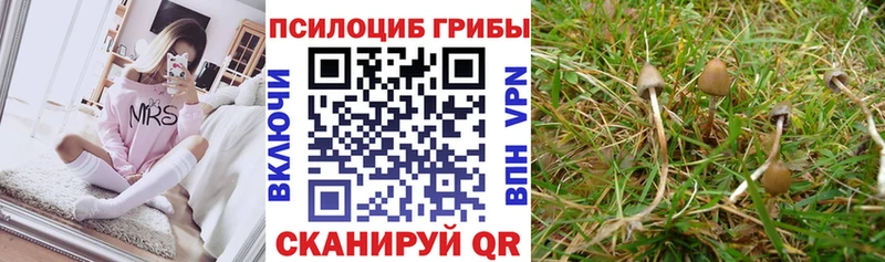 Галлюциногенные грибы мухоморы Обь