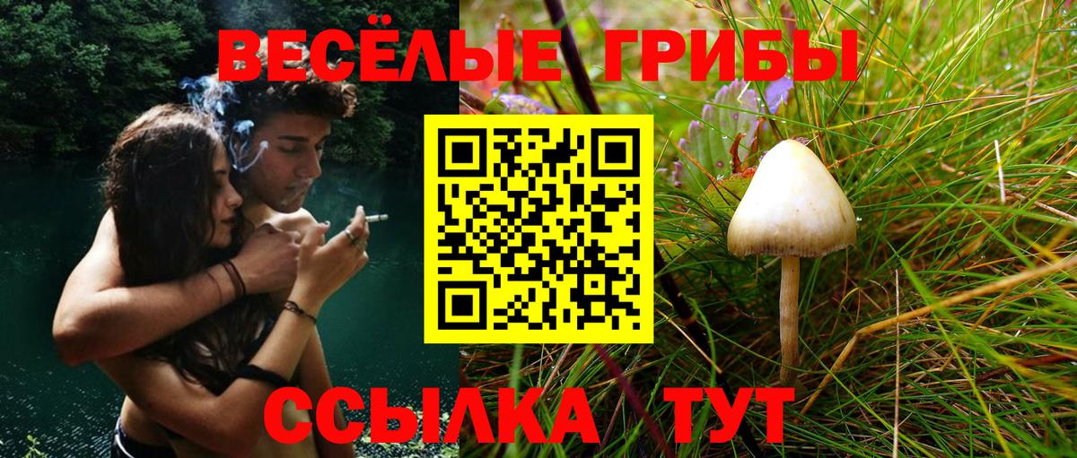 Галлюциногенные грибы GOLDEN TEACHER  Галлюциногенные грибы мухоморы  Обь  Вход с VPN 