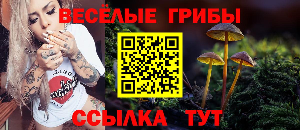Галлюциногенные грибы Magic Shrooms Обь
